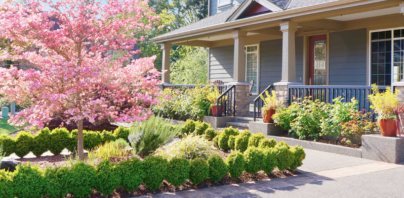 Inexpensive Ways to Boost the Curb Appeal of Your Home