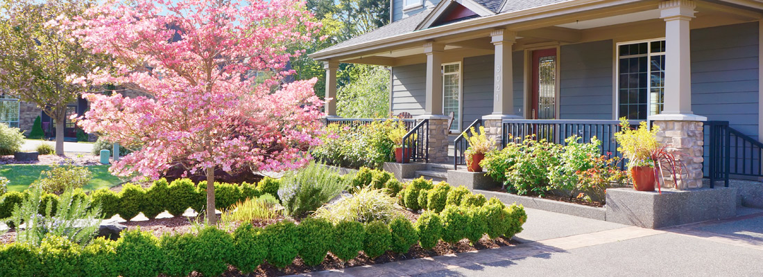 Inexpensive Ways to Boost the Curb Appeal of Your Home